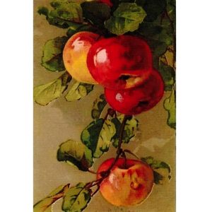 Декупажна оризова хартия ST0026