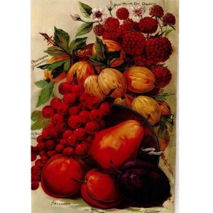 Декупажна оризова хартия 5304
